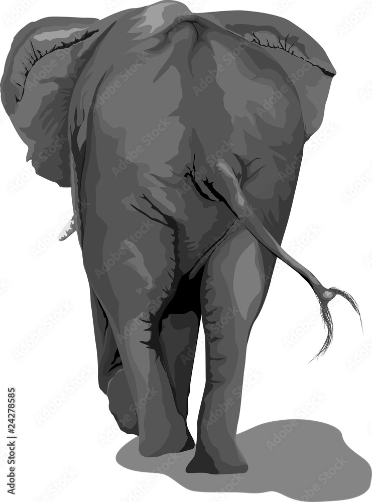elephant walking away