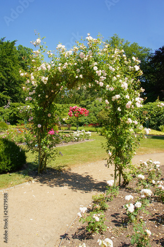 der Rosenbogen