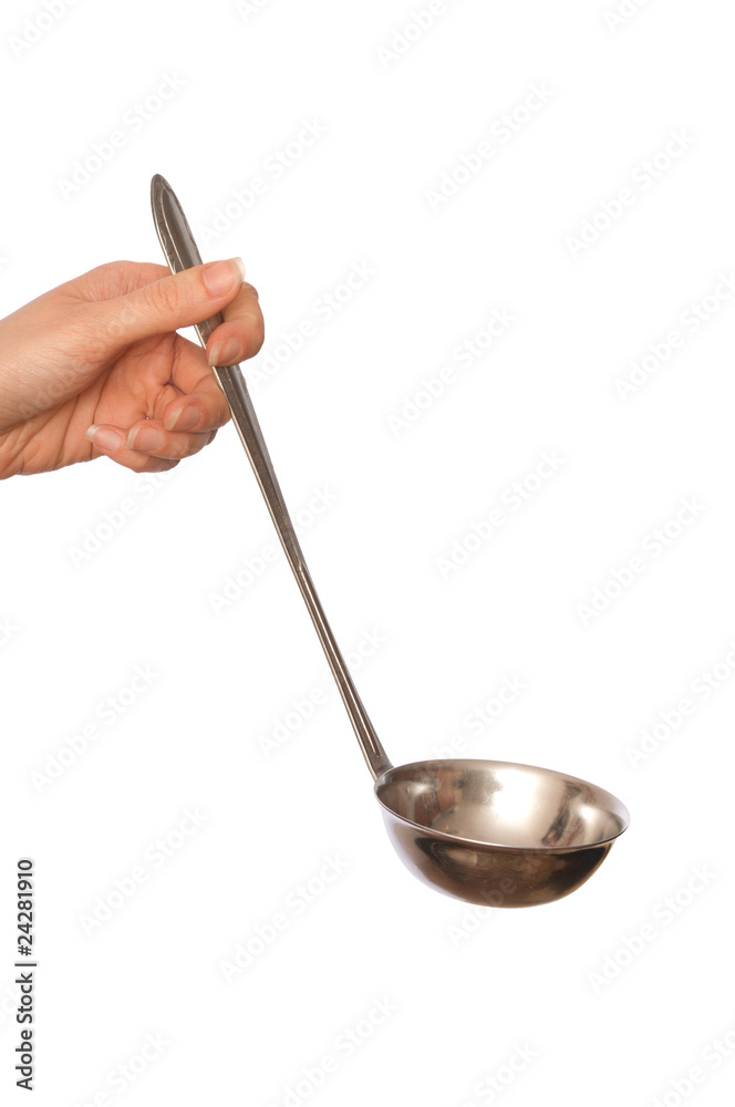 ladle ladle