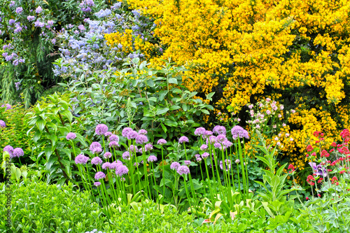 Obraz na płótnie Blooming flowers in the garden w salonie