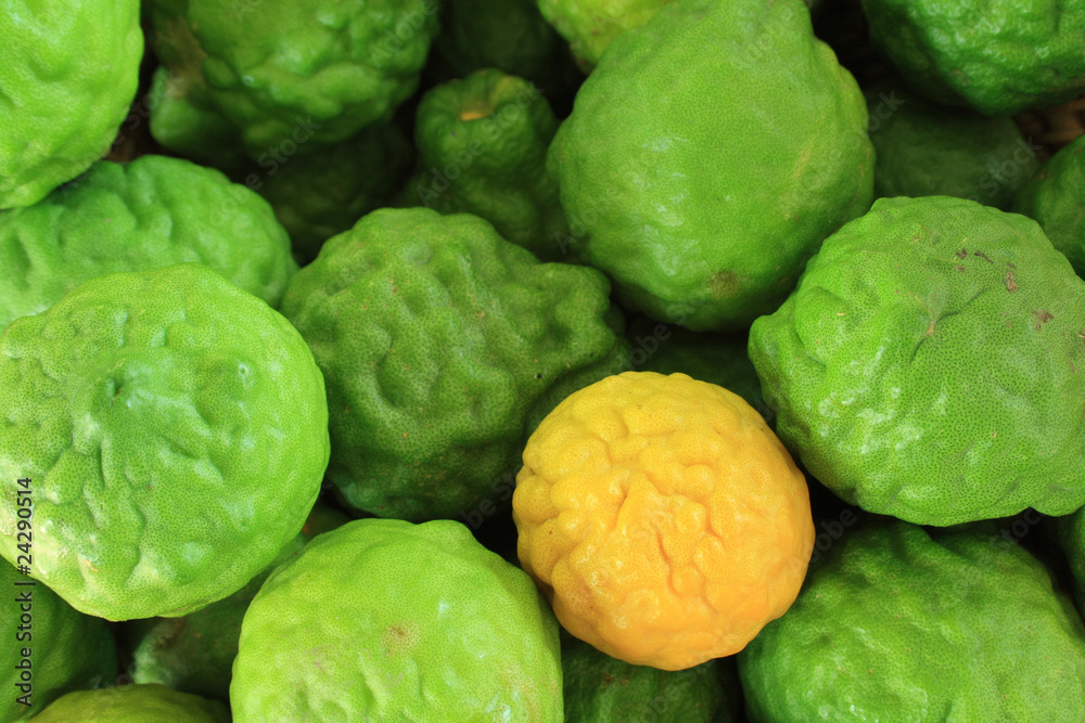 Fototapeta premium Kaffir limes