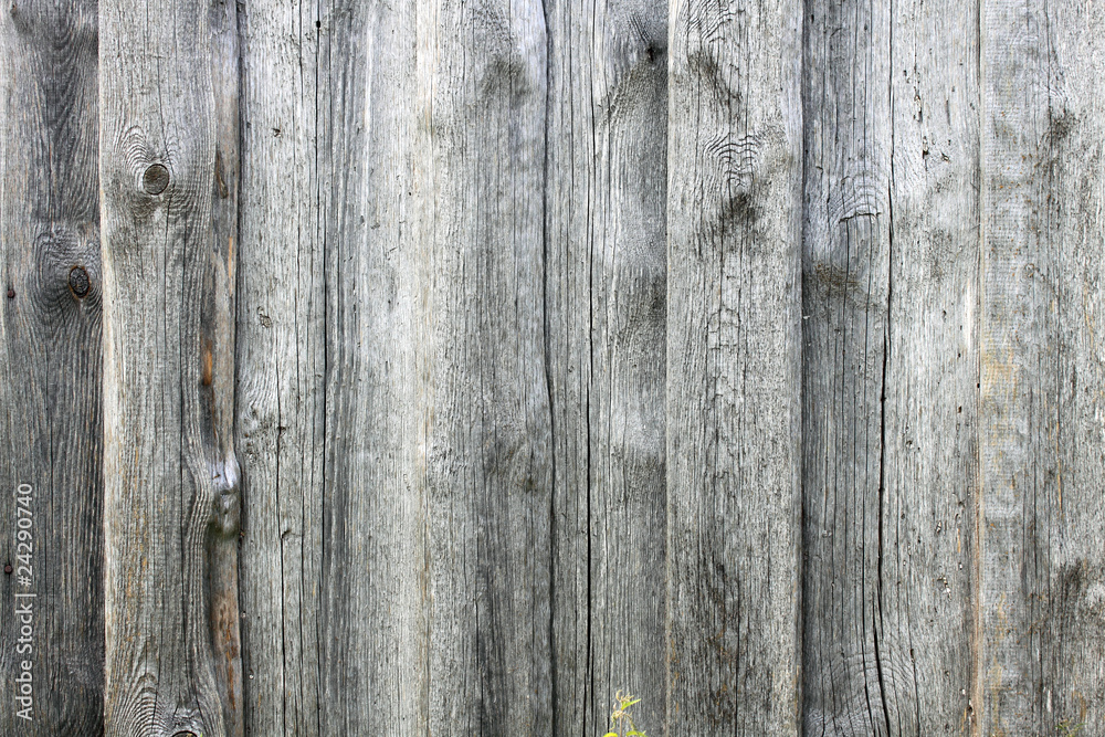 Fototapeta premium old timber plank