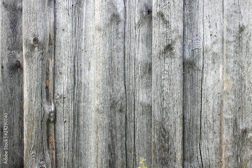 old timber plank