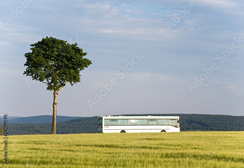 Bus fährt auf Landstraße an Baum vorbei