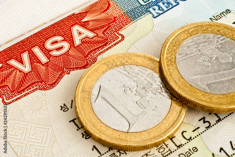 Fototapeta premium Euro coins and Visa.
