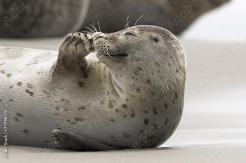 relaxen