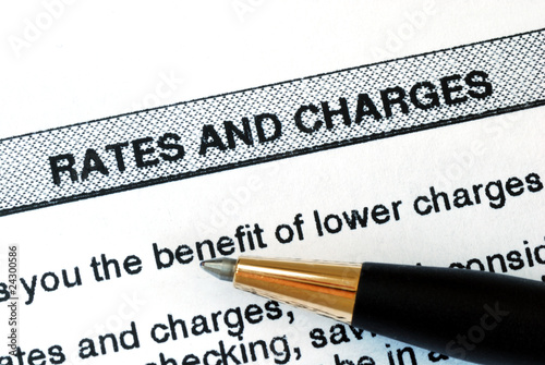 Obraz na plátne Check out the rates and charges from a bank statement