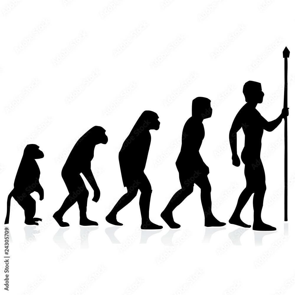 human evolution.Vector
