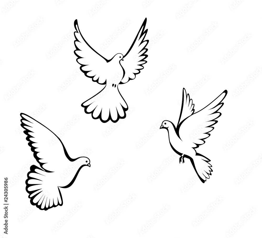 Fototapeta premium Three dove