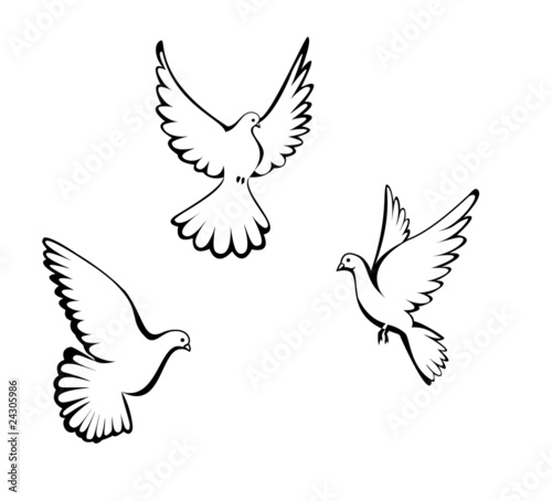 Three dove