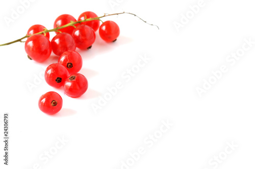 Red currants
