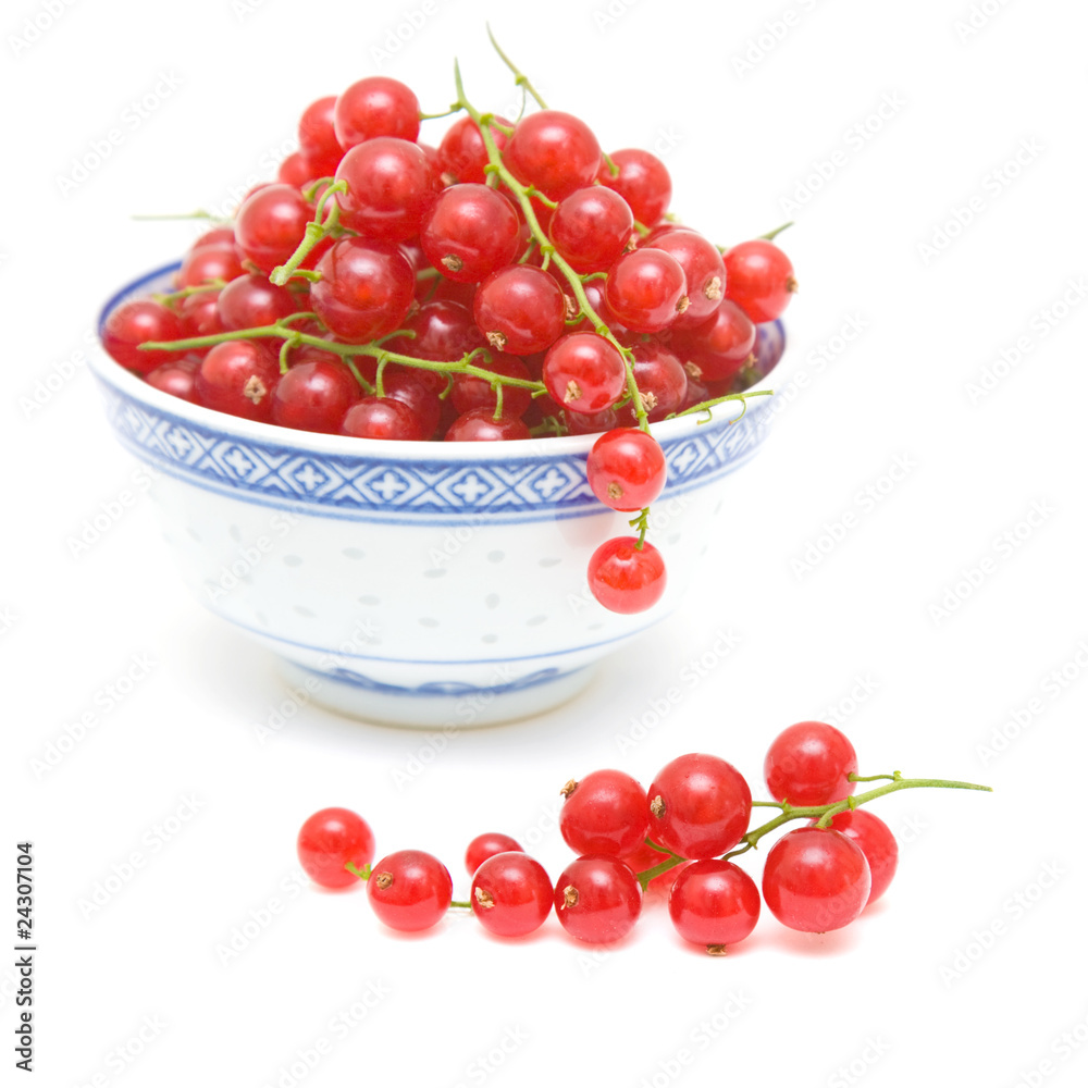redcurrant isolated on white redcurrant isolated on white