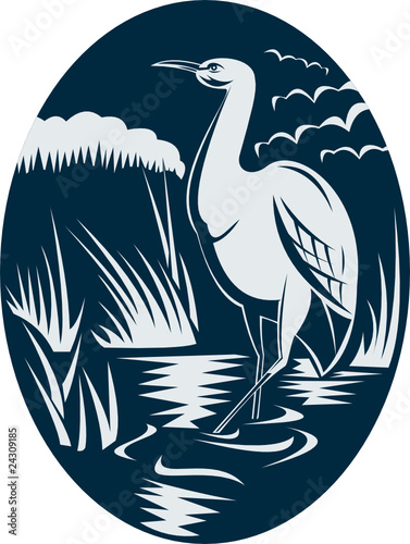 Heron wading in the marsh or swamp