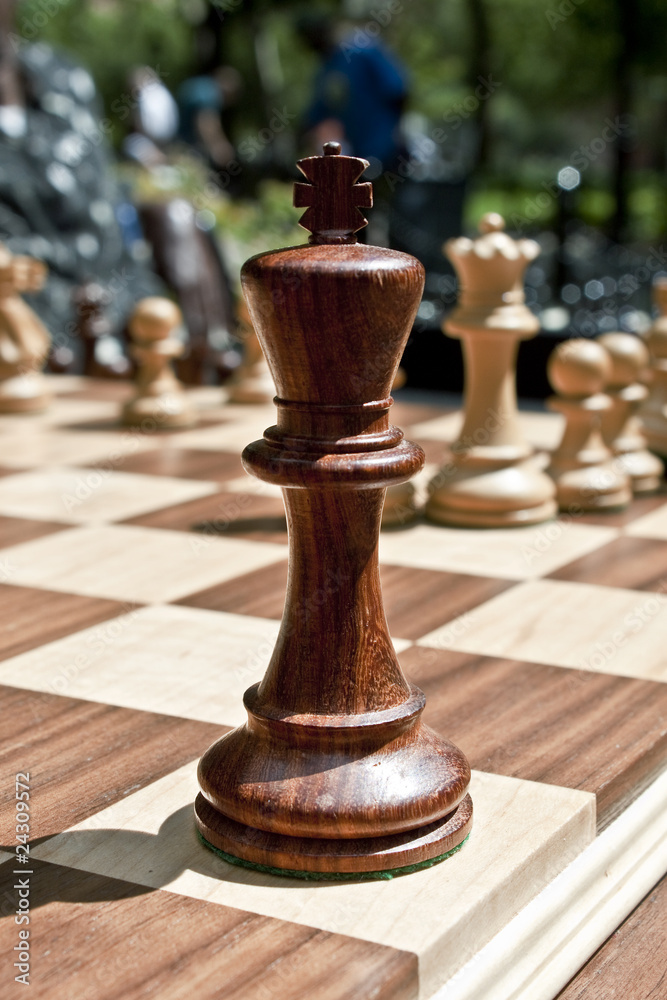 chess piece chess piece