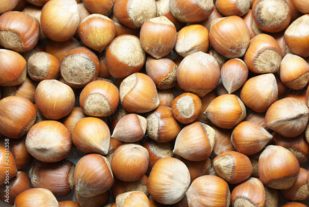 Nuts Nuts