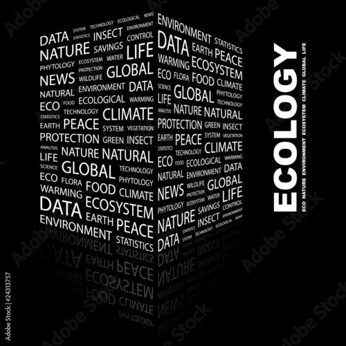 ECOLOGY. Illustration with different association terms.