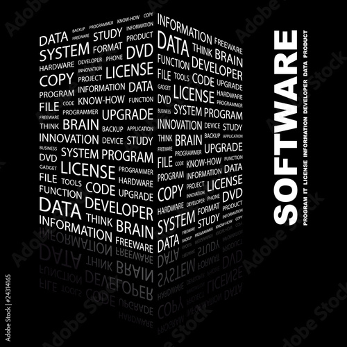 SOFTWARE. Illustration with different association terms.