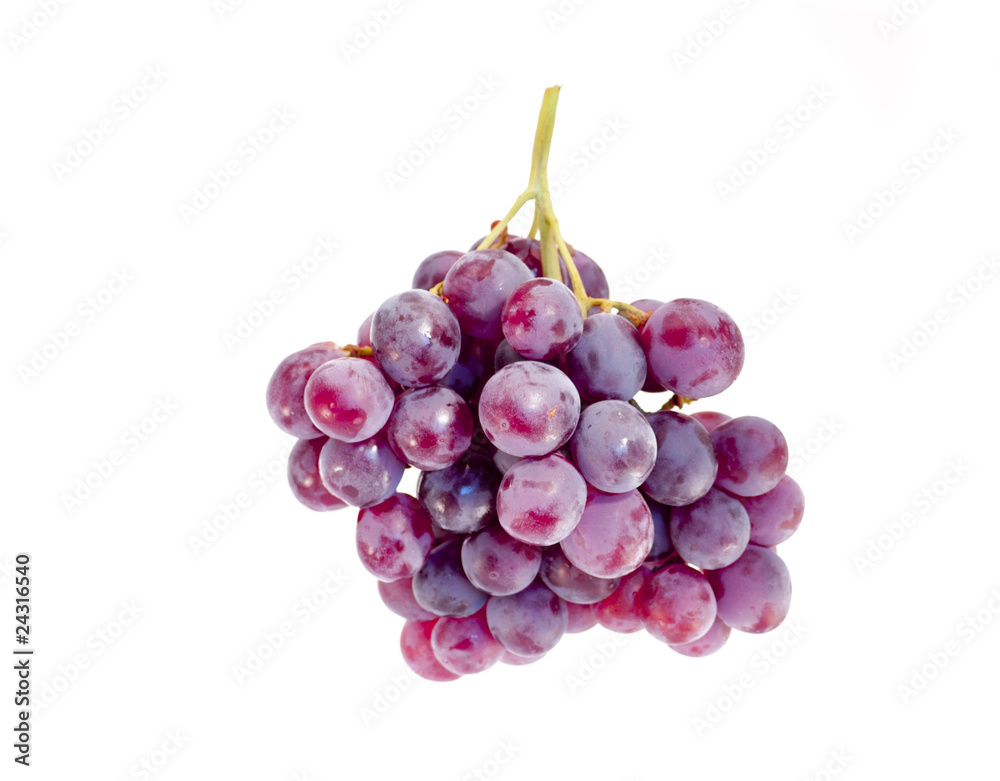 Fototapeta premium grapes