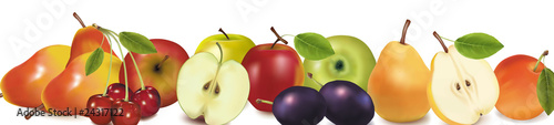 Fruit design border isolated on white. Vector.