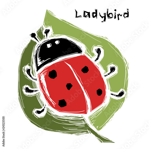 ladybird