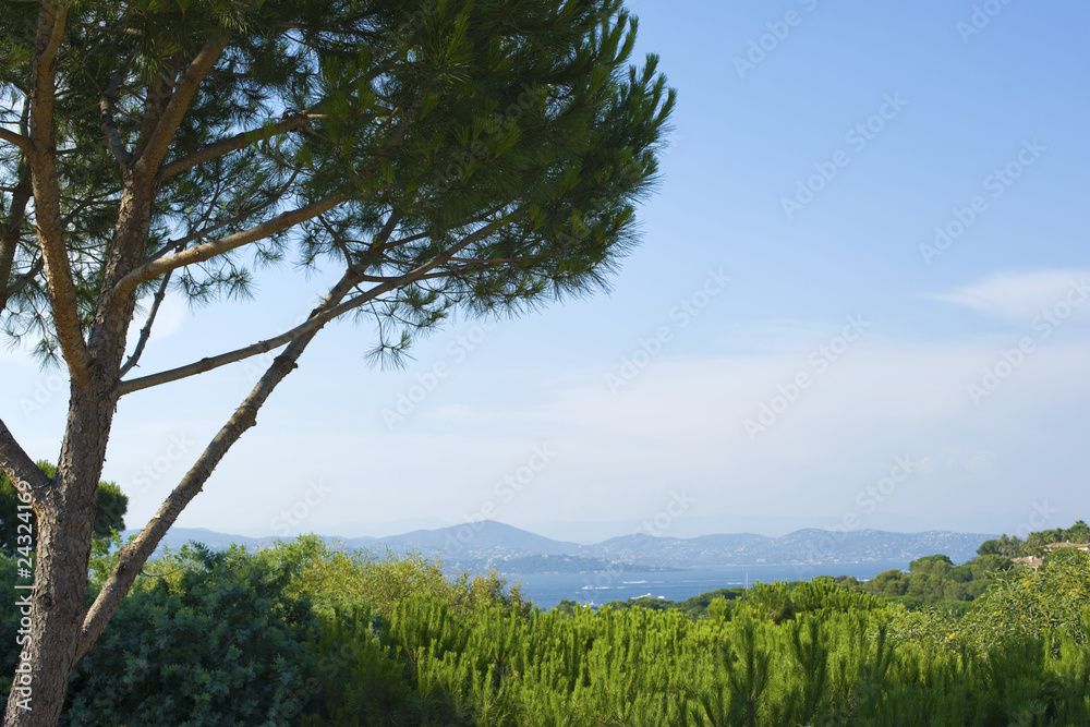 Côte d'azur, St Tropez Côte d'azur, St Tropez
