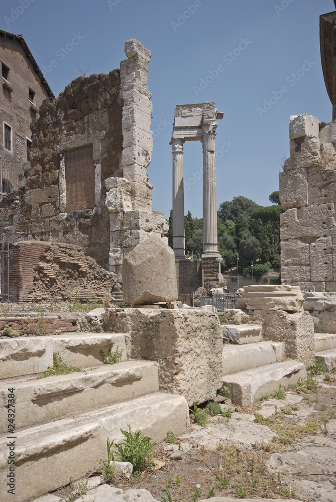 Roma, il Tempio di Apollo Sosiano