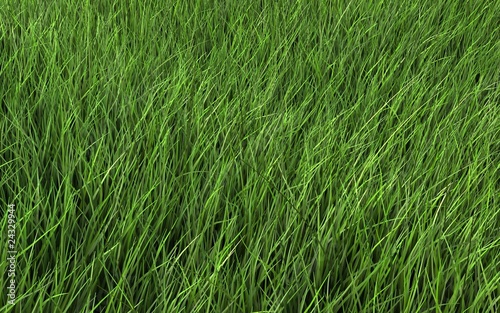Green grass field © Beautifulfuture Art