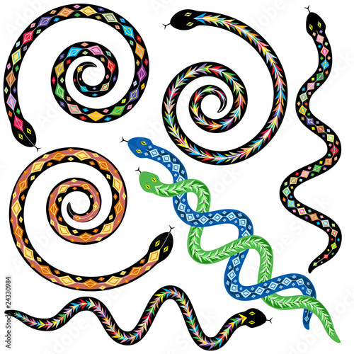 Colorful snakes