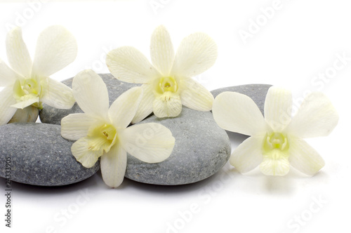Beautiful orchid with stack of pebbles