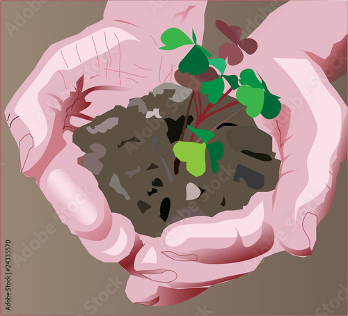 farmer`s hands with piece of ground and crop