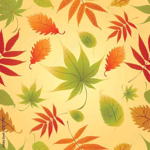 Seamless Background - Autumn Leaves. Thanksgiving