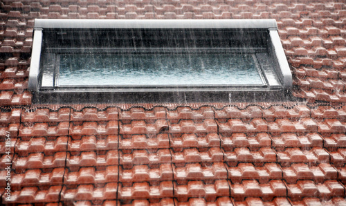 Fotografie Rain