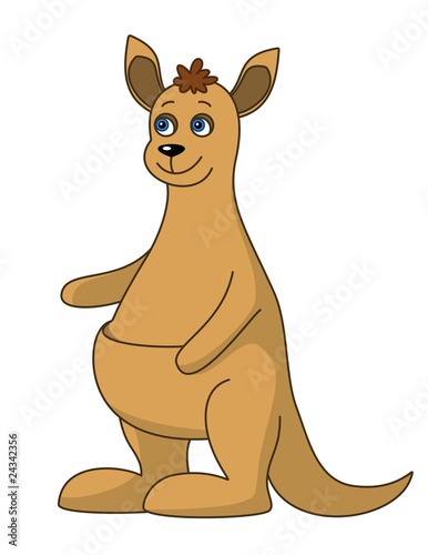 Kangaroo  isolated