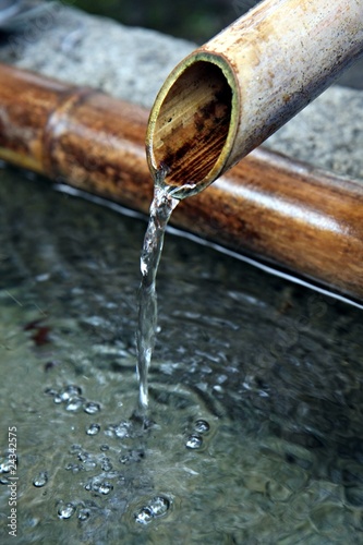 Bamboo Fountain