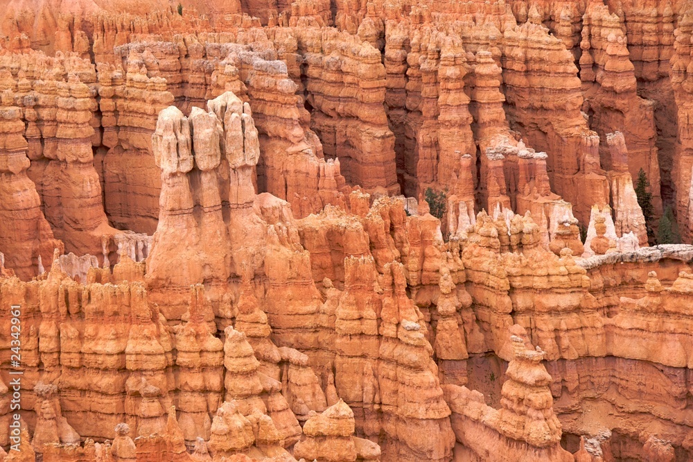 Closeup of hoodoo rows, Bryce Canyon National Park Closeup of hoodoo rows, Bryce Canyon National Park
