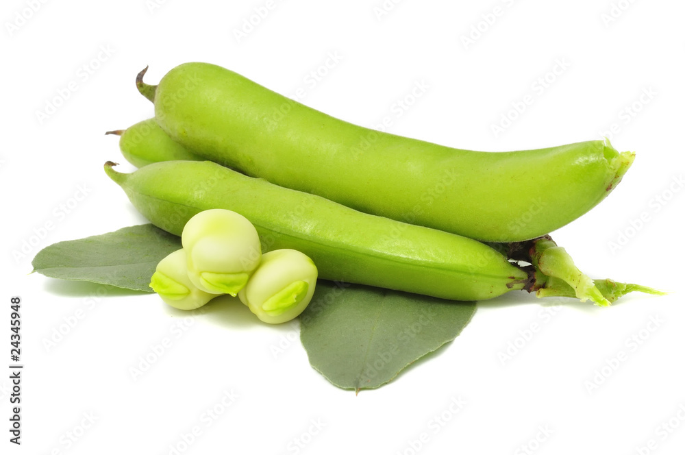 Broad Beans