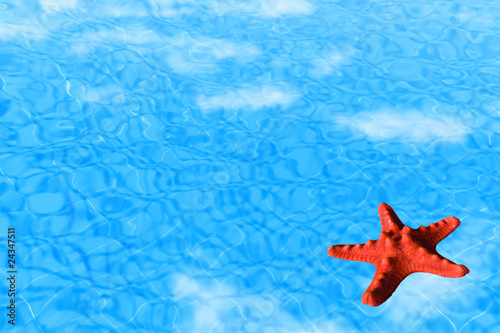 Water background with red starfish