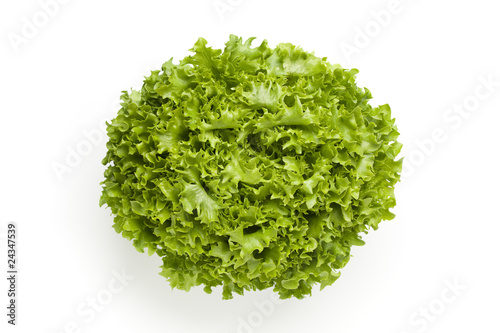Lollo bionde lettuce seen from above