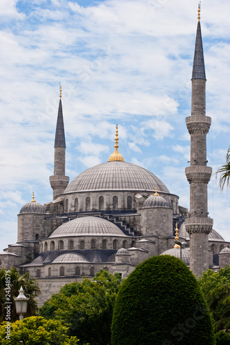 Blaue Moschee, Istanbul, Türkei #24348575