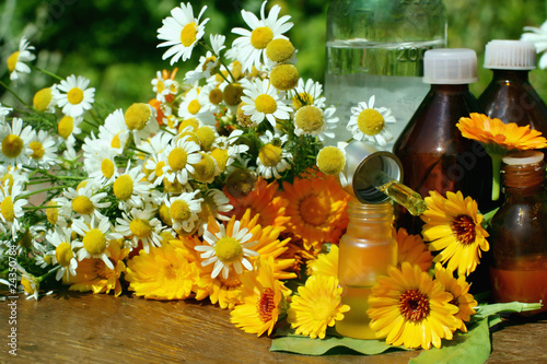 Medical calendula and camomille