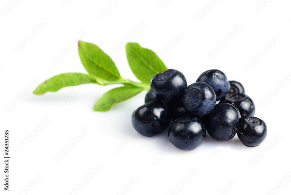 Bilberries Bilberries