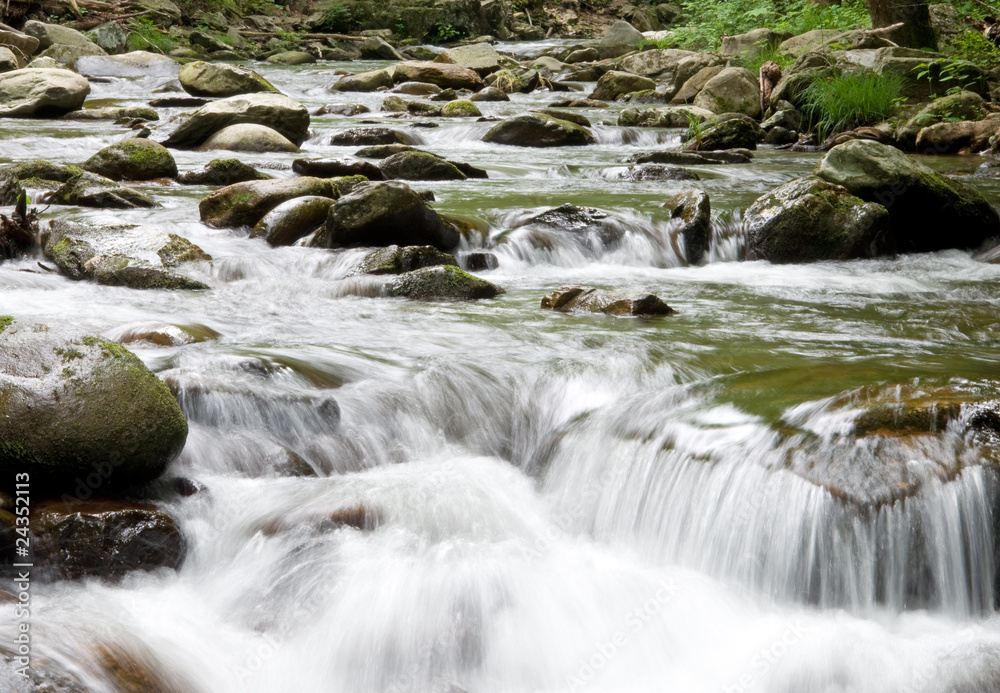Fototapeta premium Woodland Stream