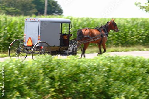 Amish carriage photo