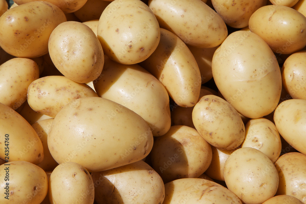 Yukon Potatoes Yukon Potatoes