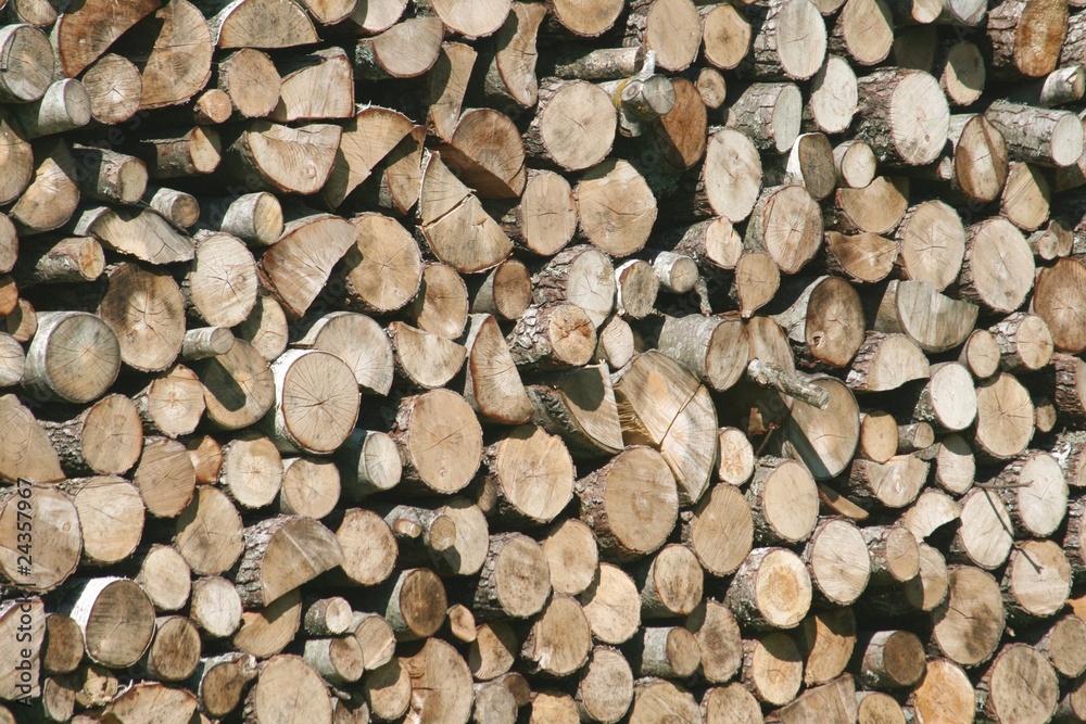 firewood stack