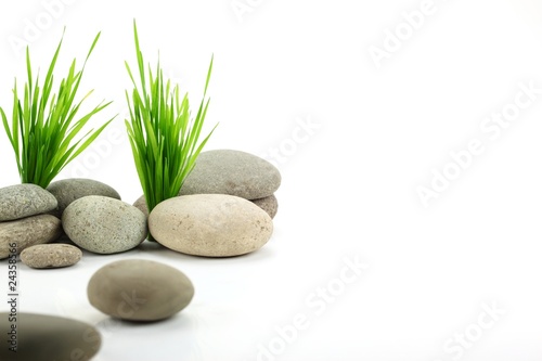 Zen stone with fresh grass