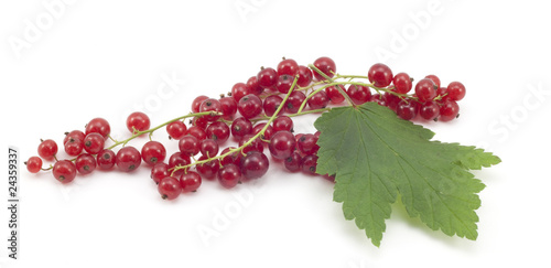 sprig of red currants with a leaf