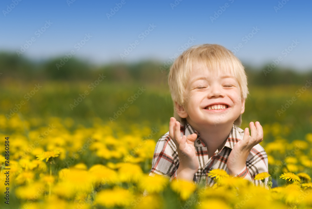 The laughing boy lies in the field from dandelions The laughing boy lies in the field from dandelions