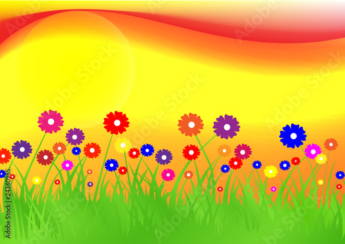 flowers