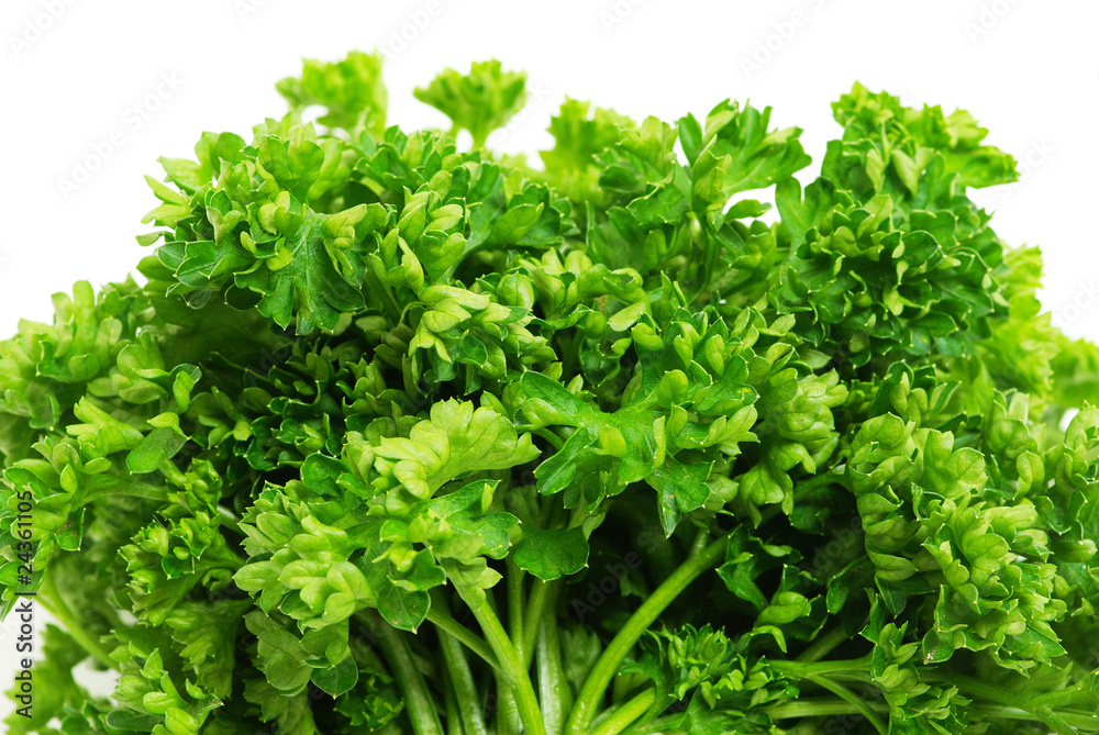 parsley parsley